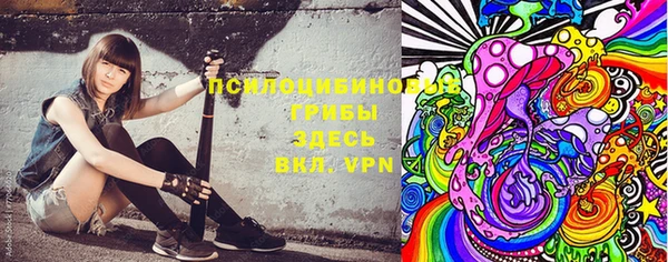 эйфоретик Алексин